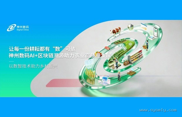 智能肌电贴片在马拉松训练中的真实效能评测